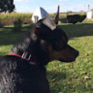 Meet your Posher, Michele